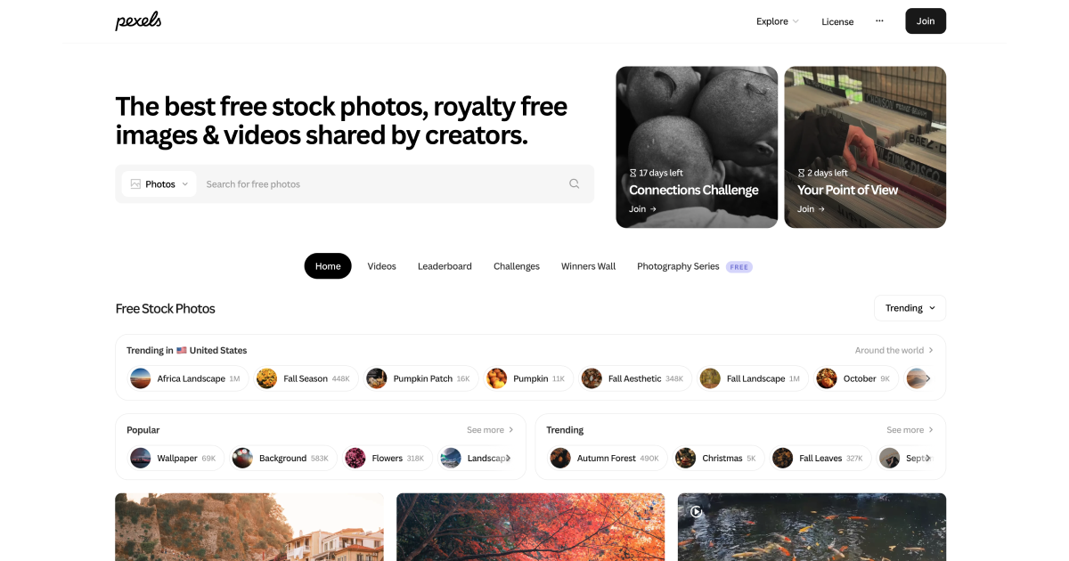 Pexels website preview