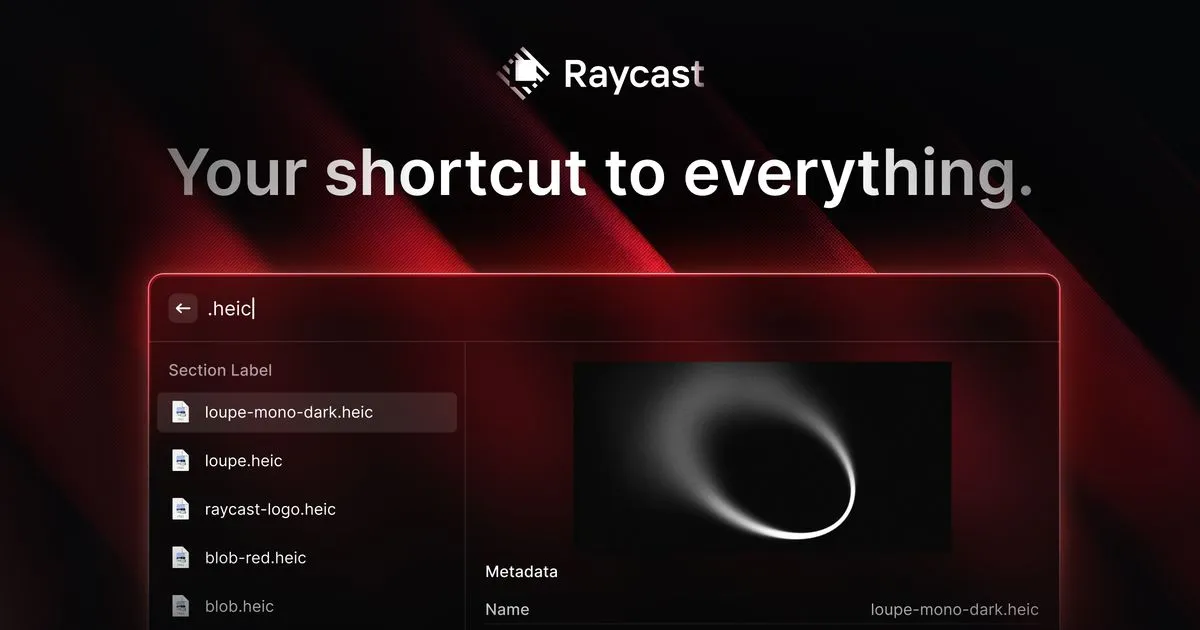 Raycast website preview
